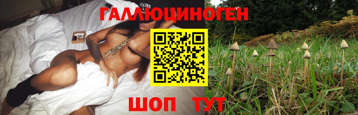Ивантеевка  Галлюциногенные грибы GOLDEN TEACHER  Вход с VPN 